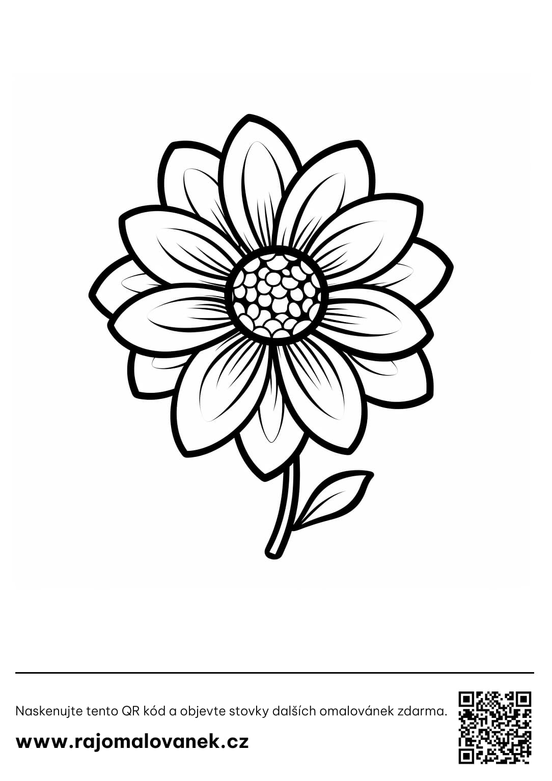 Kytička omalovánky