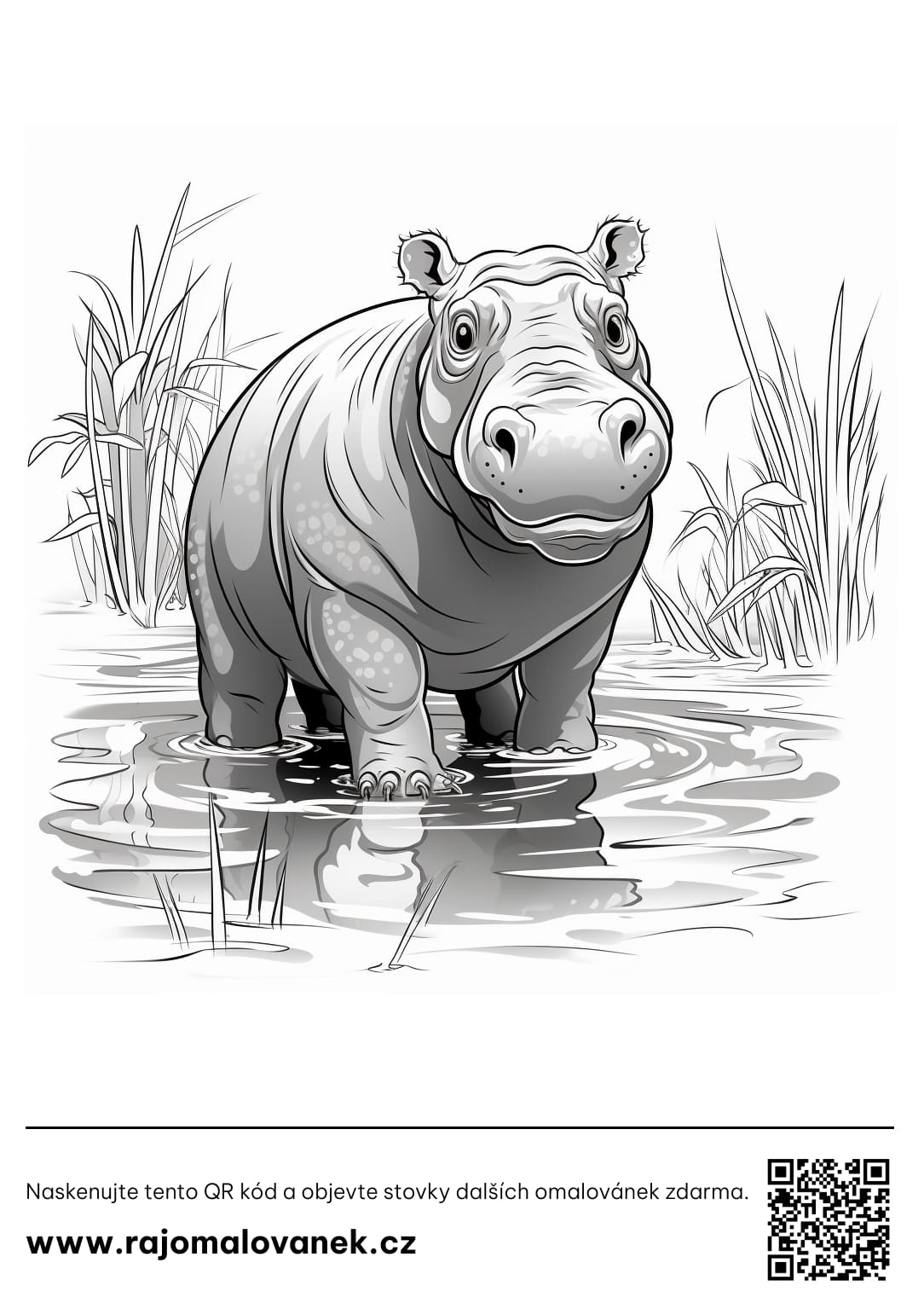 Omalovánky hroši Vytiskněte si zdarma a vybarvujte!