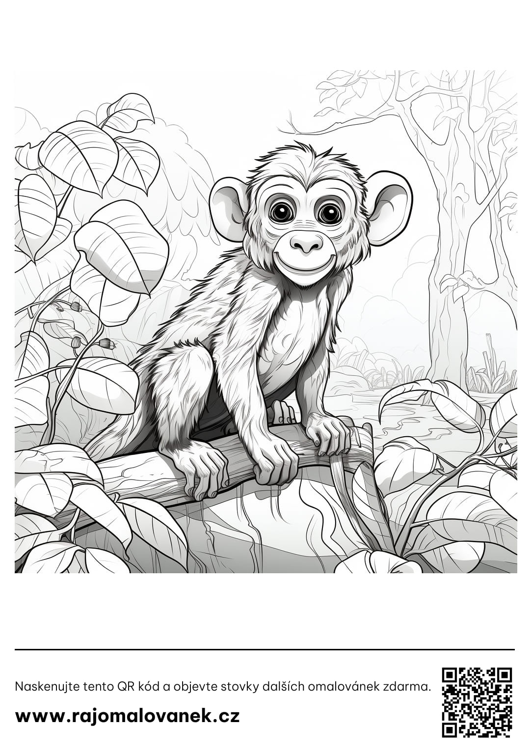 Orangutan omalovánky