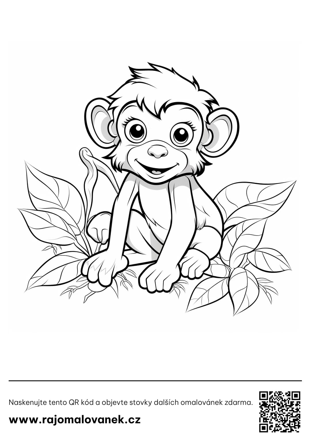Opice omalovánky
