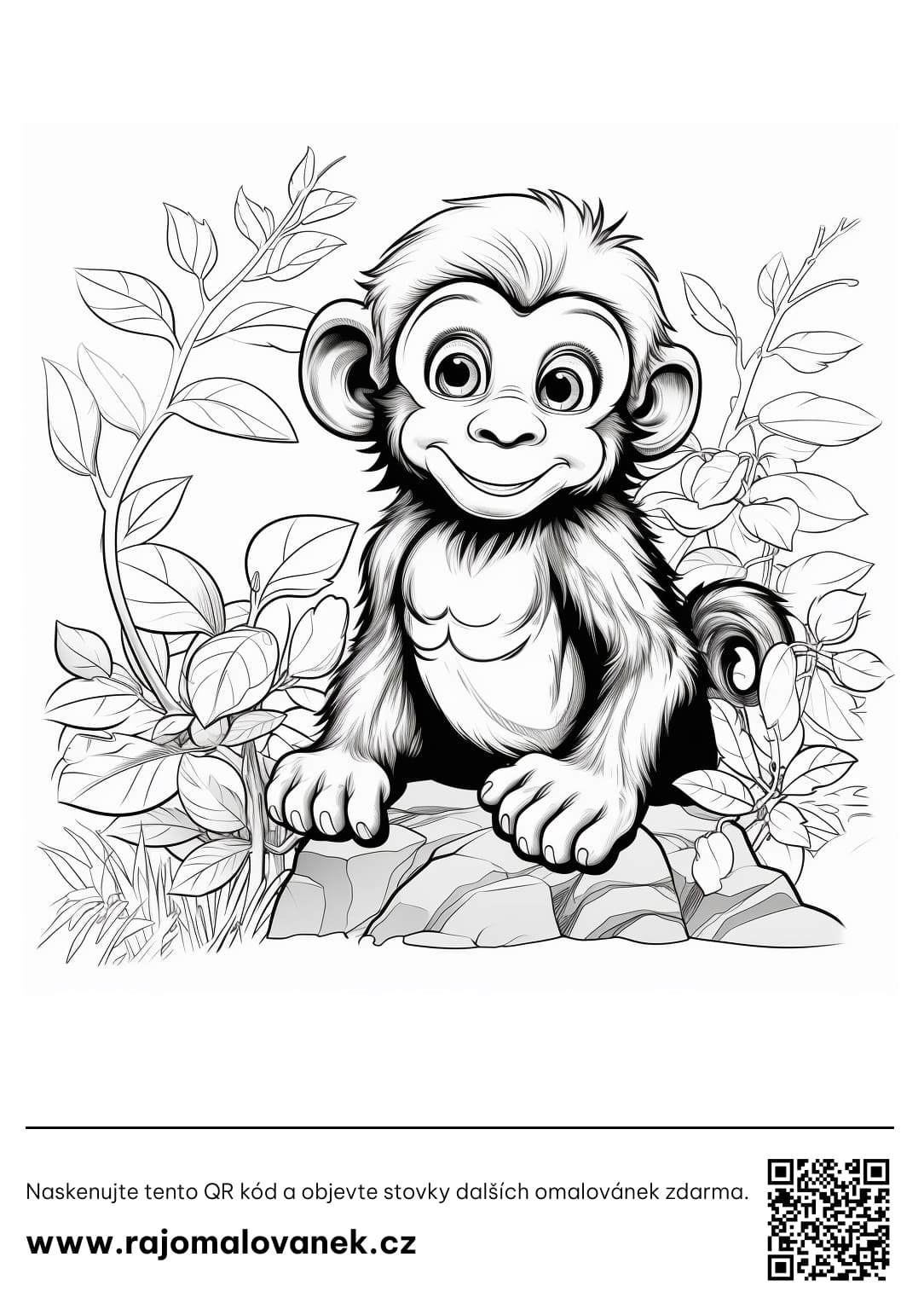 Šimpanz Omalovánky
