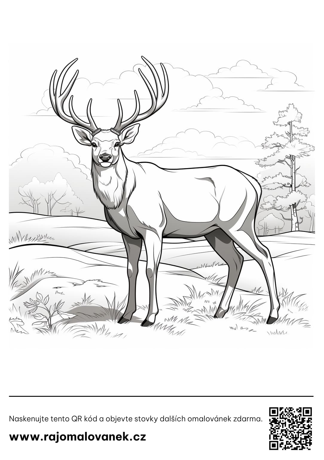 Srnec omalovánky