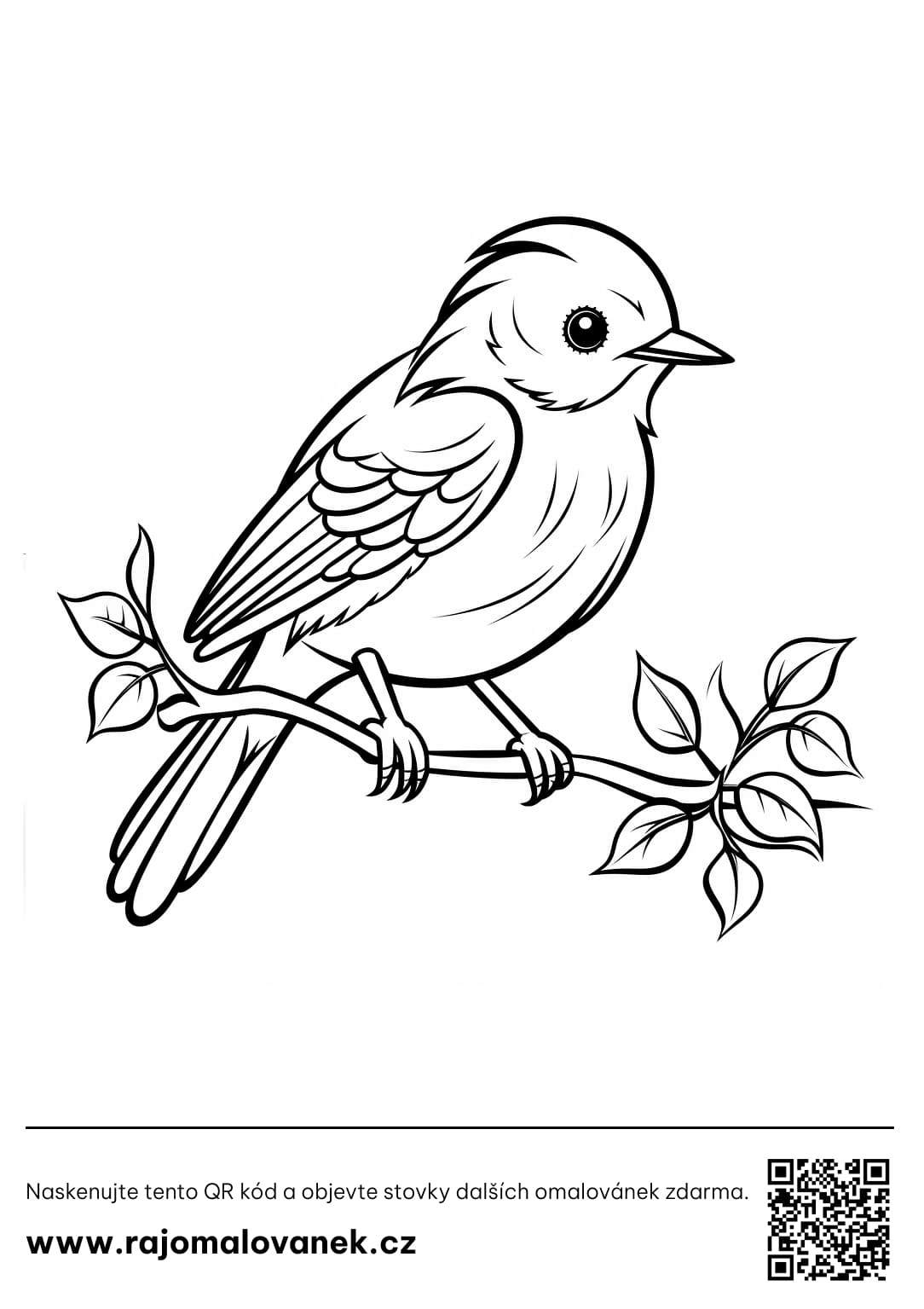 Omalovanky ptaci