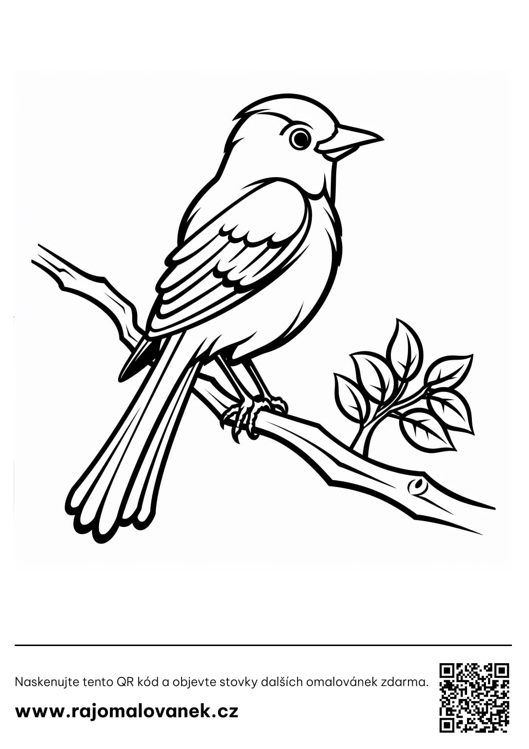 Omalovánky ptáčci