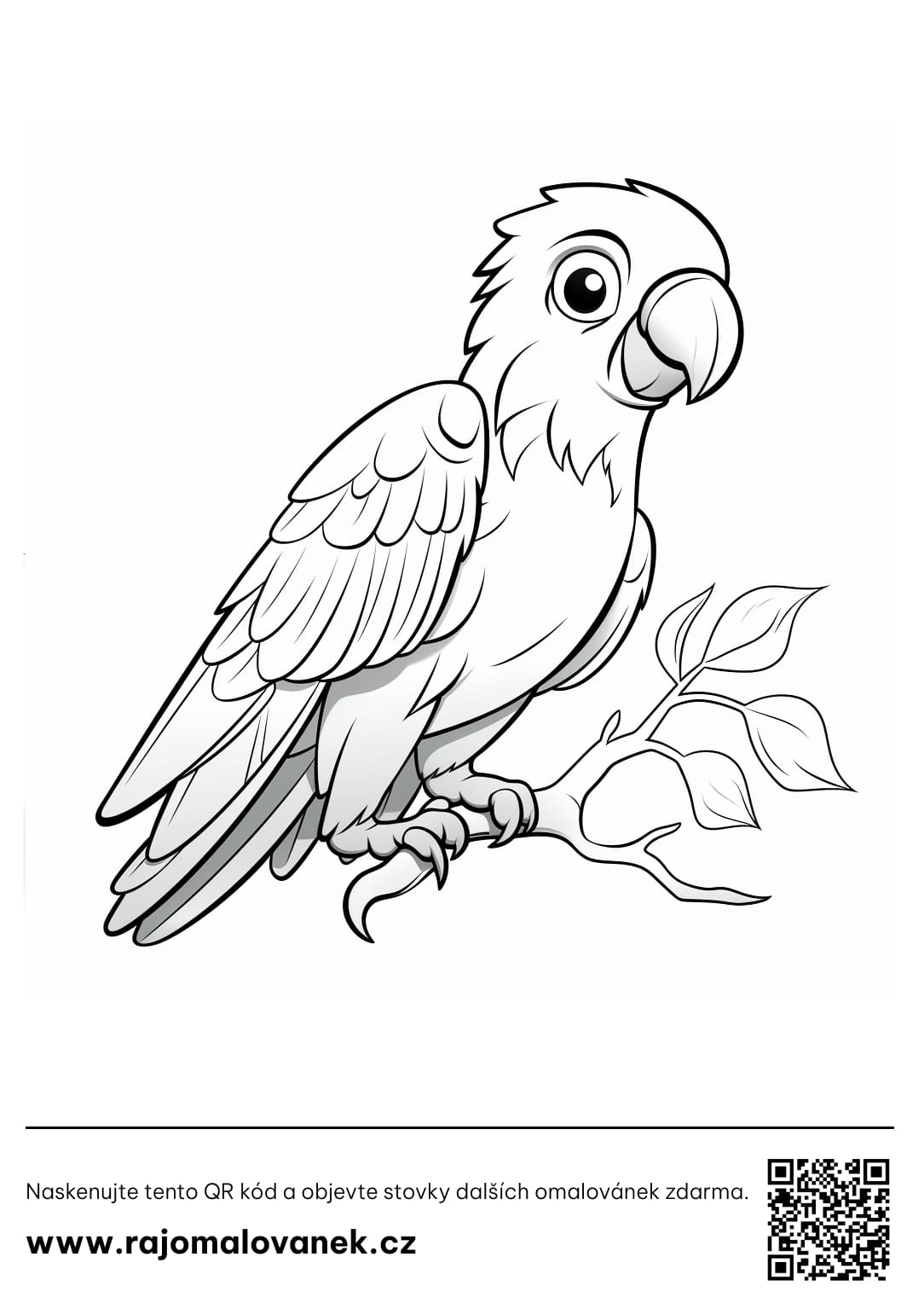 Omalovánky papoušci