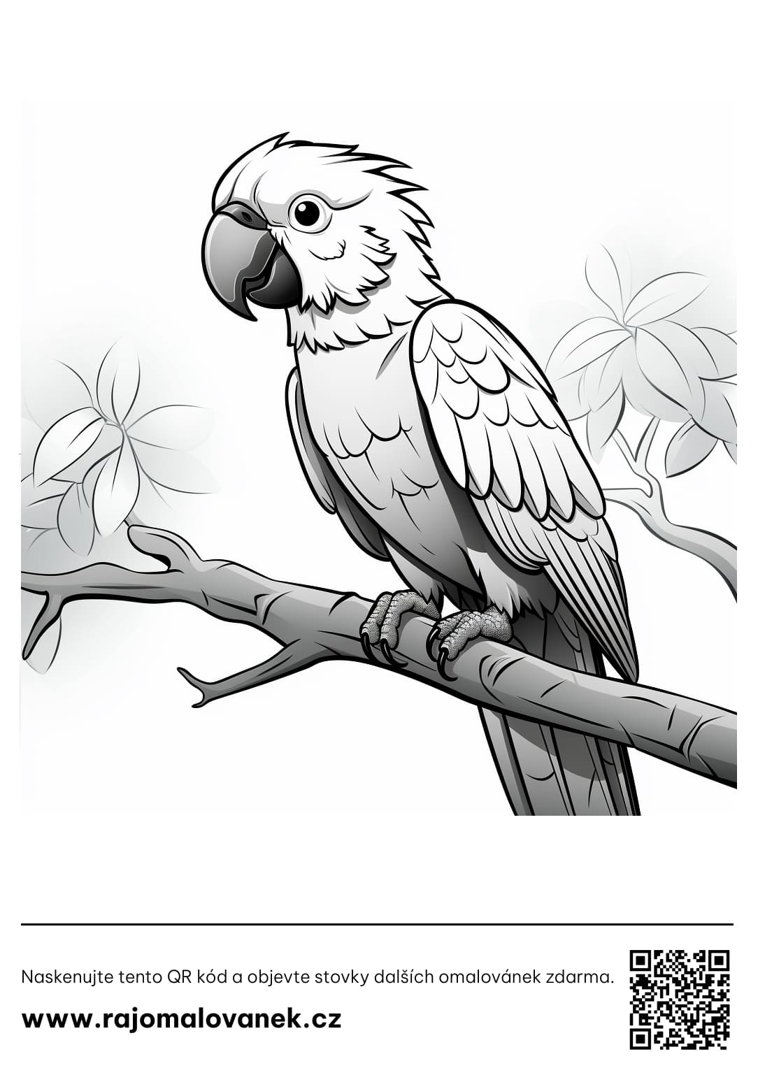 Omalovánky papoušek