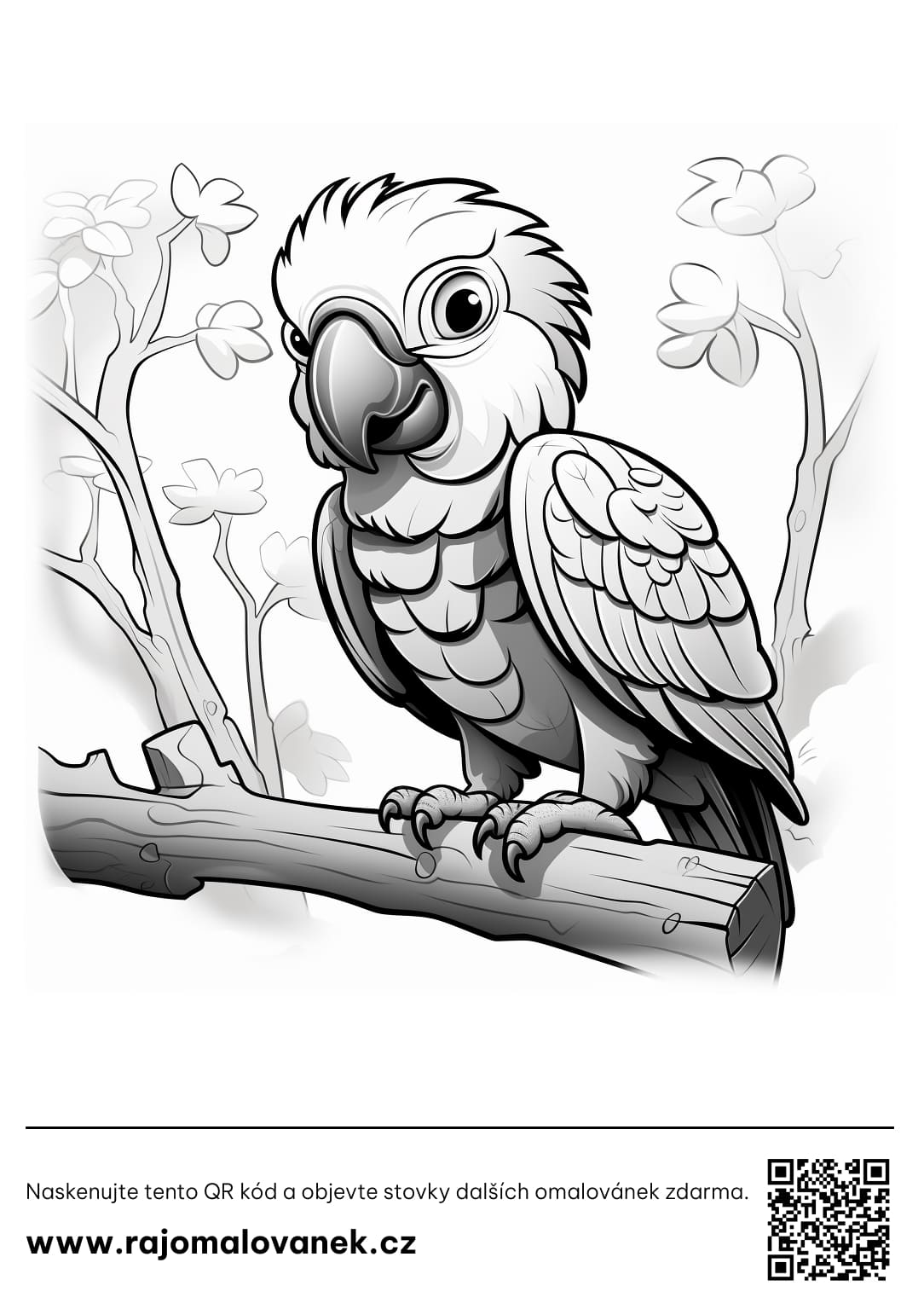 Omalovánky pták