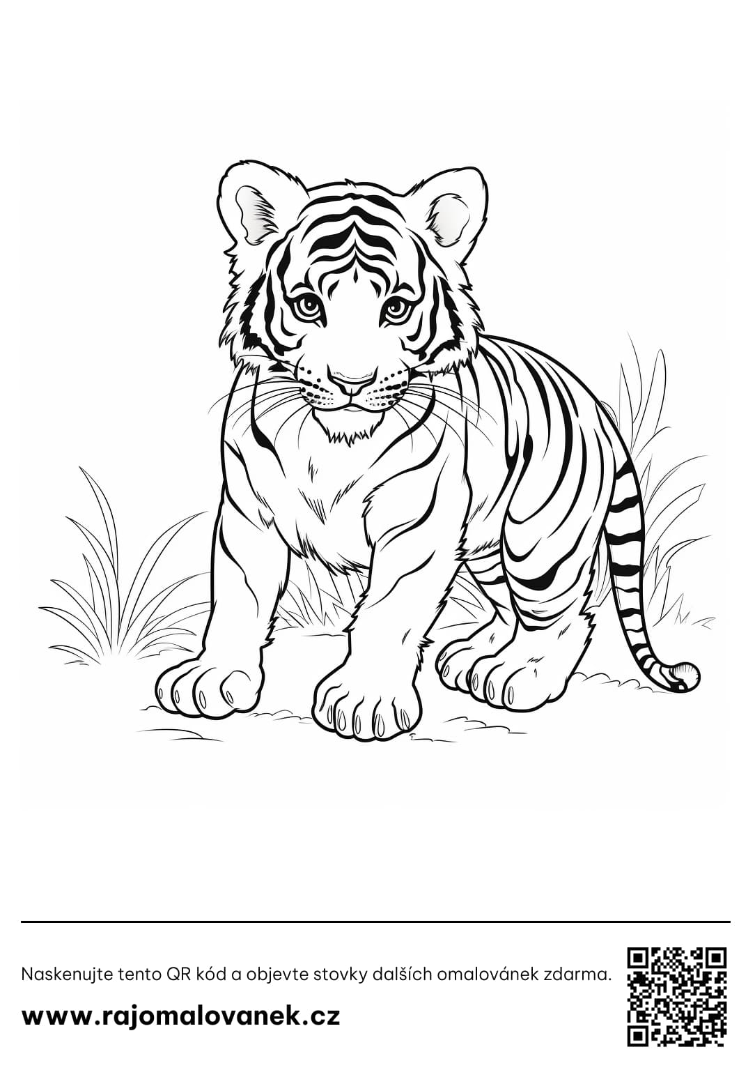 Omalovánky tygři