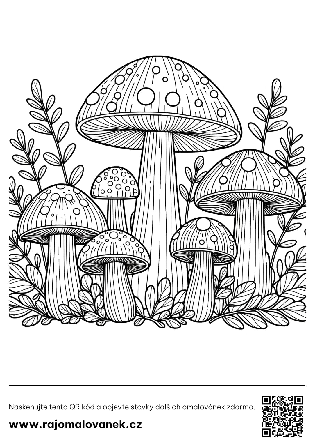 Omalovánka houby
