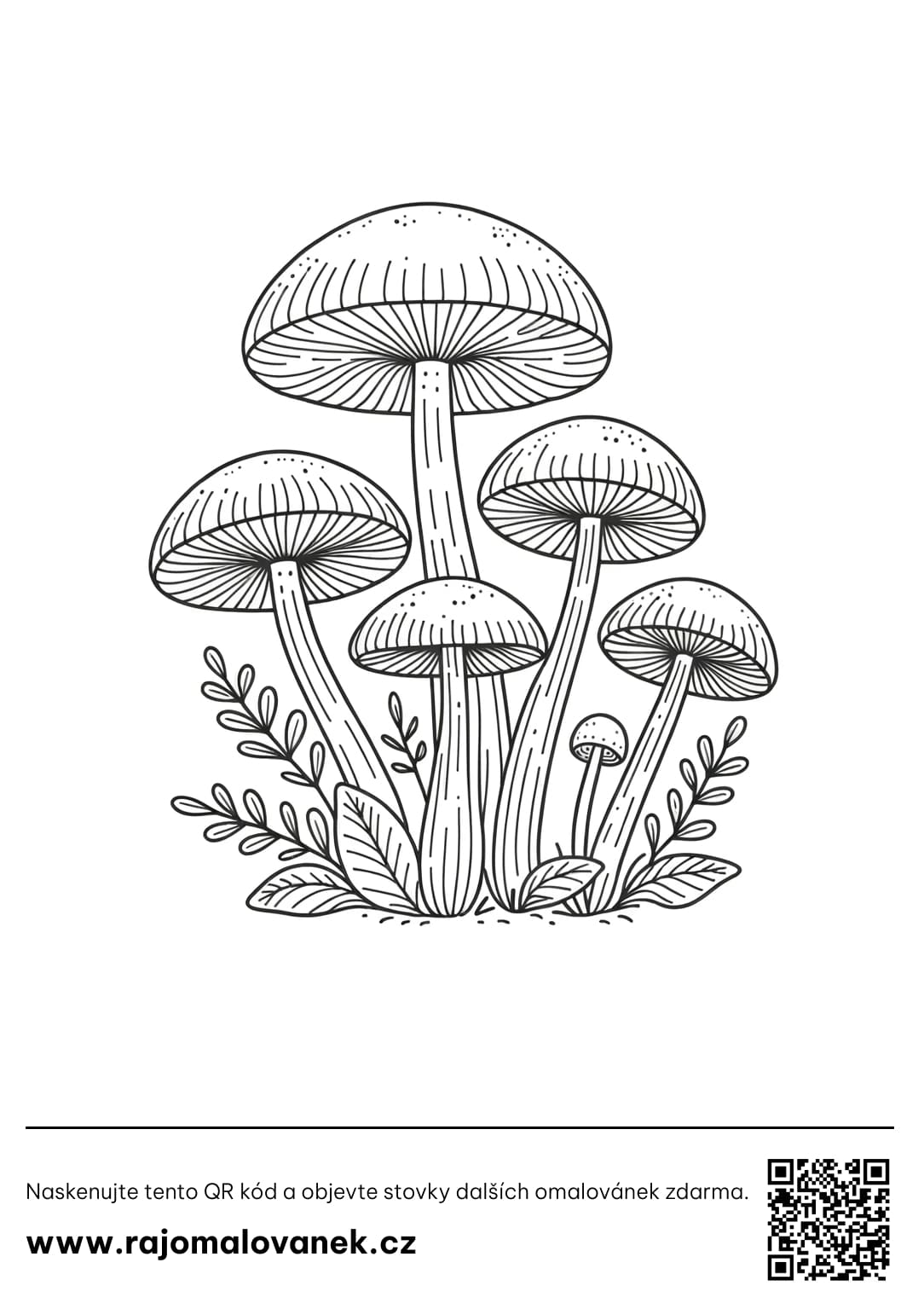 Omalovánky Houby